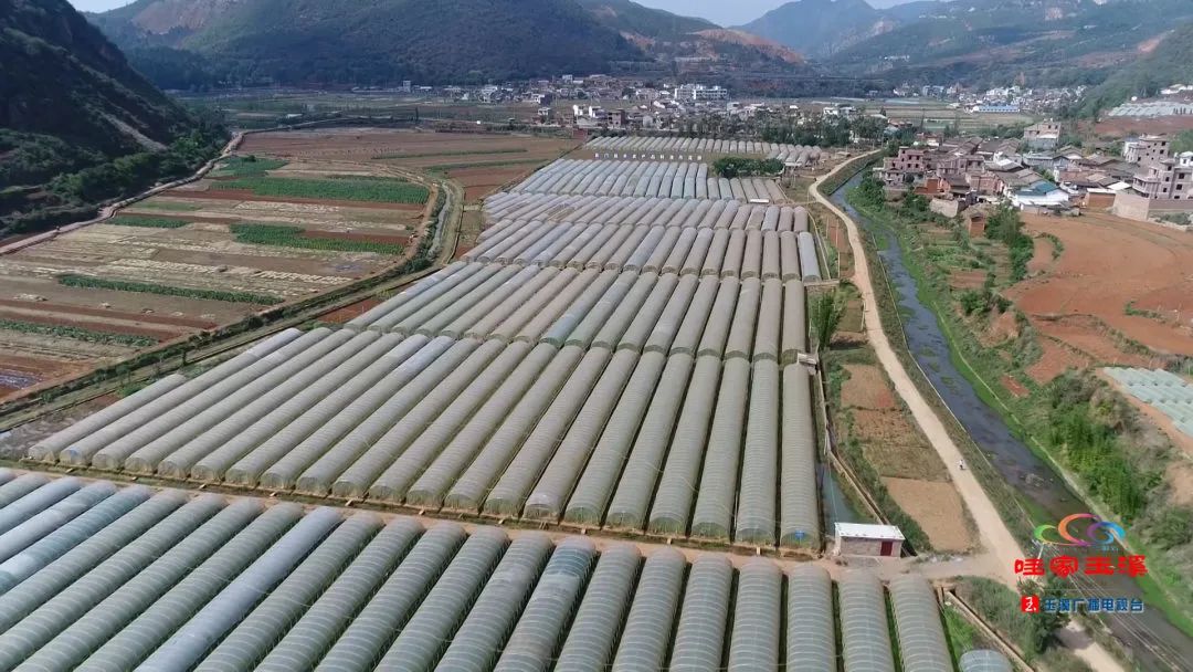 一线调研看发展,一线走访调研