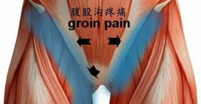 肛门最常见的疾病有哪些,肛门常见疾病及症状