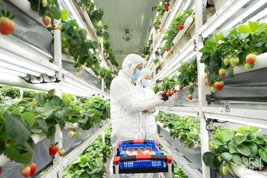 四维生态农业,四维生态科技引领农业未来