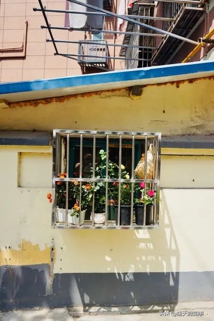 桃叶渡、乌衣巷、白鹭洲……南京那些绝美地名