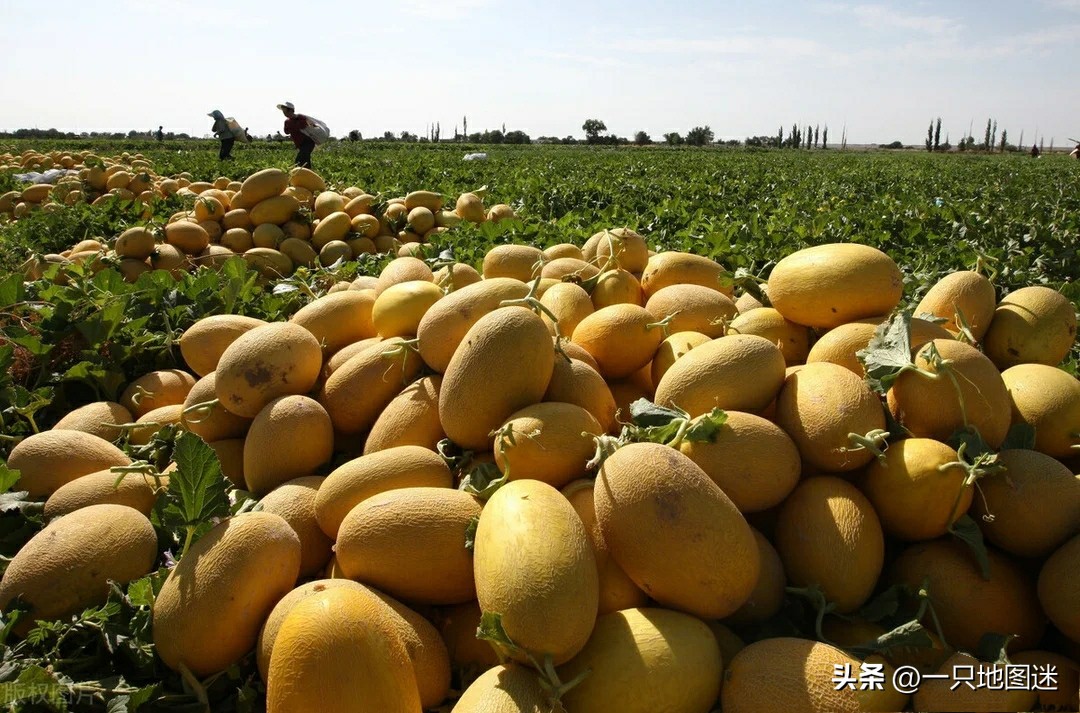 哈密的风景,哈密大西北的美景让你很震撼