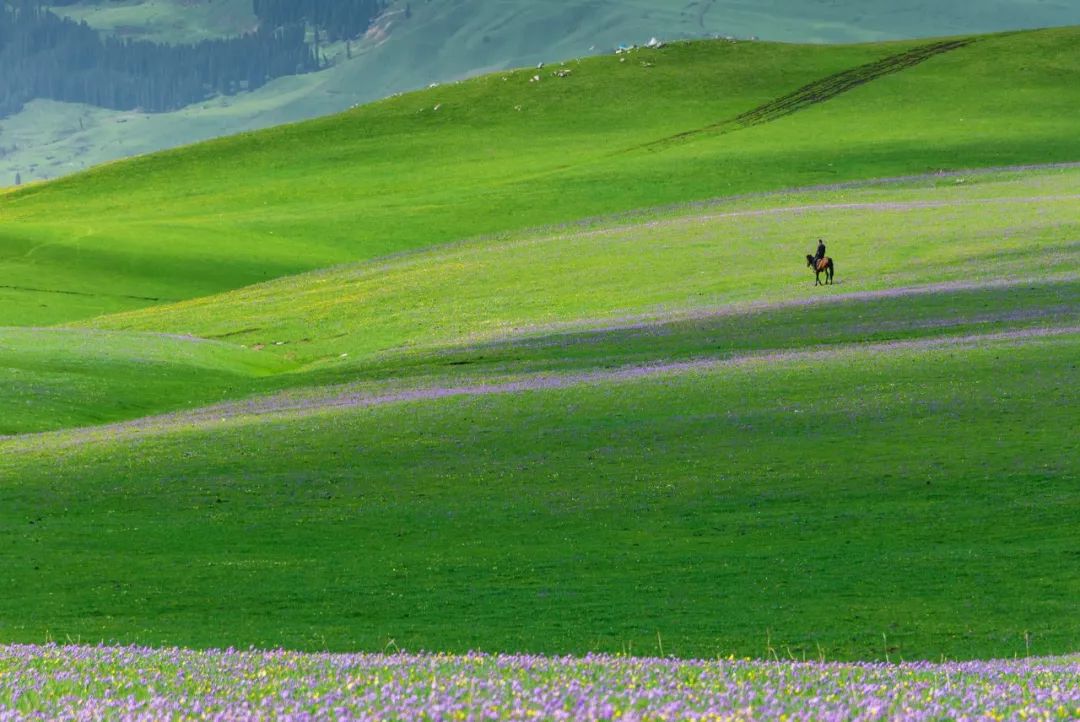 南疆的美又是另一种别样风情,北疆的风景南疆的风情