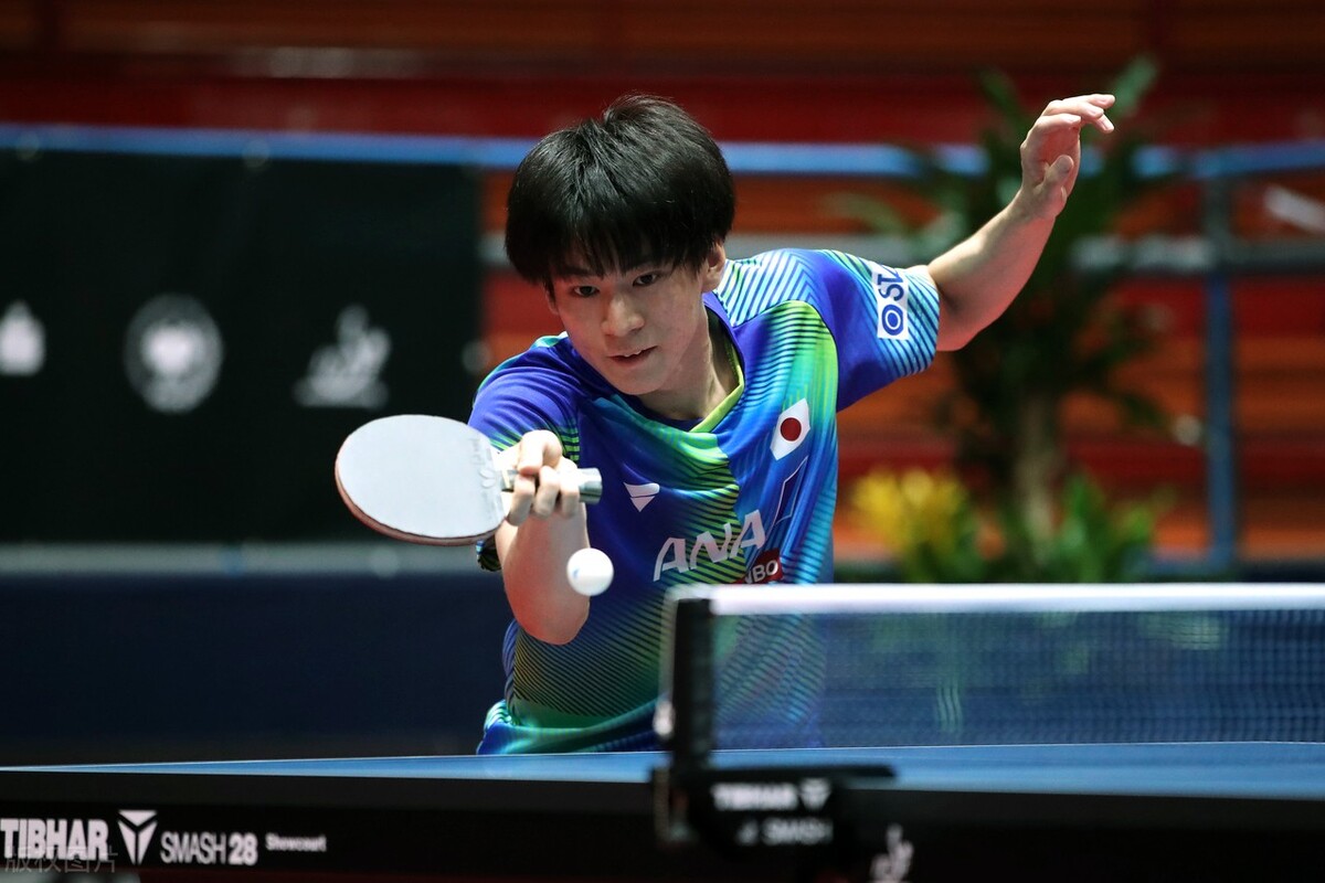 世乒赛日本张本智和夺冠,世乒赛日本张本智和输给谁