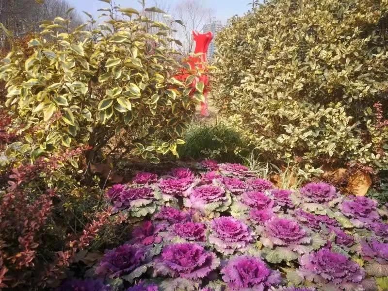 用心发现生活中的美景,用心发现美生活中处处是风景