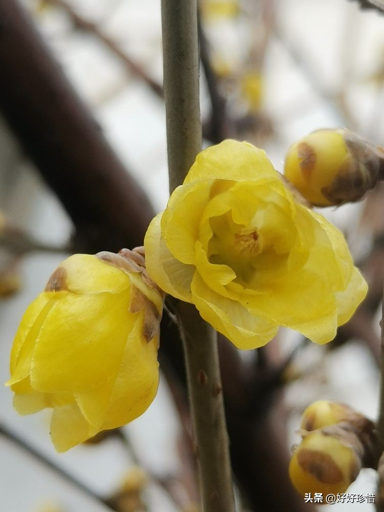 靠信息差赚钱,靠信息差赚钱的方法