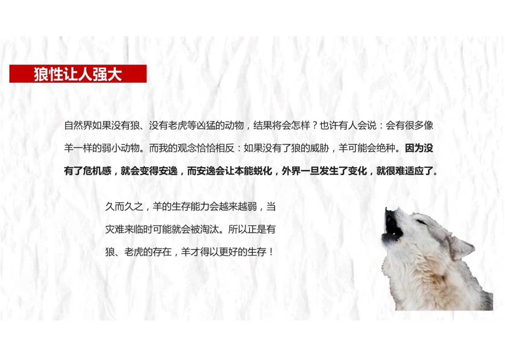 如何快速组建一个狼性的销售团队,打造一支狼性团队必抓的十大核心