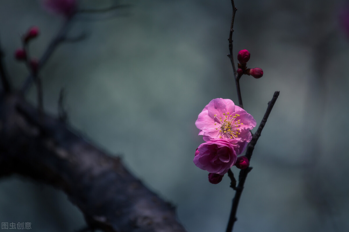 心软是病怎么治,过于心软