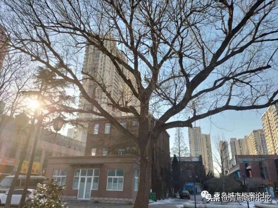 青岛国棉一厂档案查询,青岛国棉一厂历任厂长