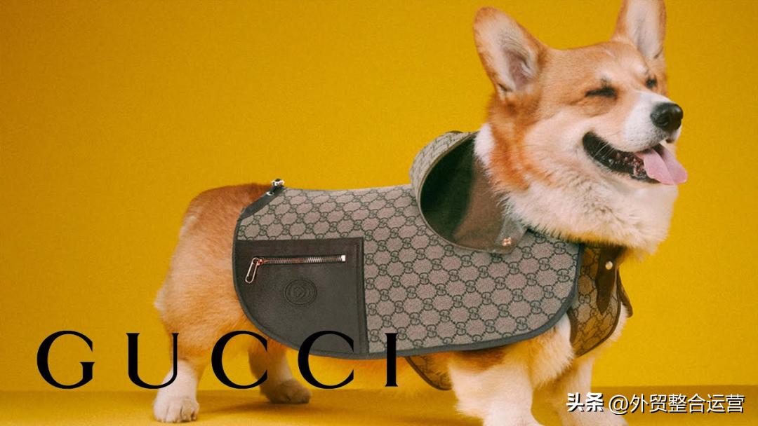 牵狗绳大型犬一元,牵狗绳200元以上