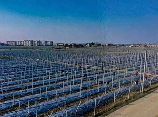 马鞍山项目开工,马鞍山全省重点项目集中开工仪式