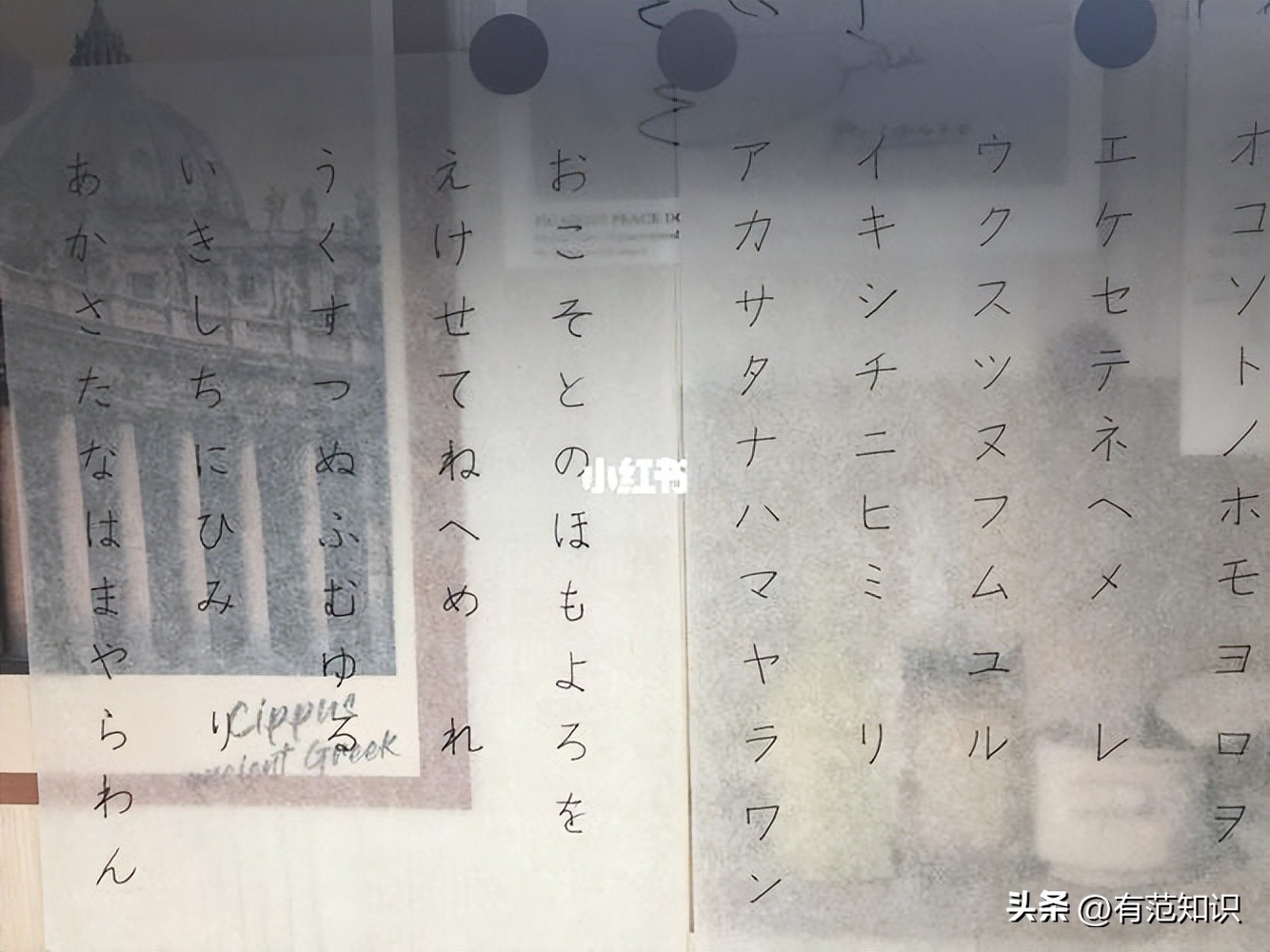 曹晓洁高考多少分,中国第一专科生曹晓洁