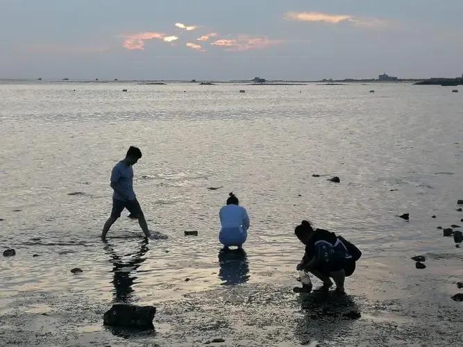 海鲜蛏子蚬子哪个好吃一点,好吃的蛏子和海鲜