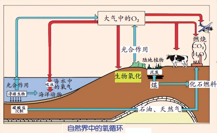 科学知识大全小学生必背,科学知识大全全集