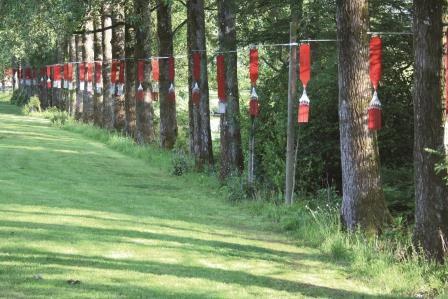 在花园中思考宇宙——詹克斯宇宙思考花园