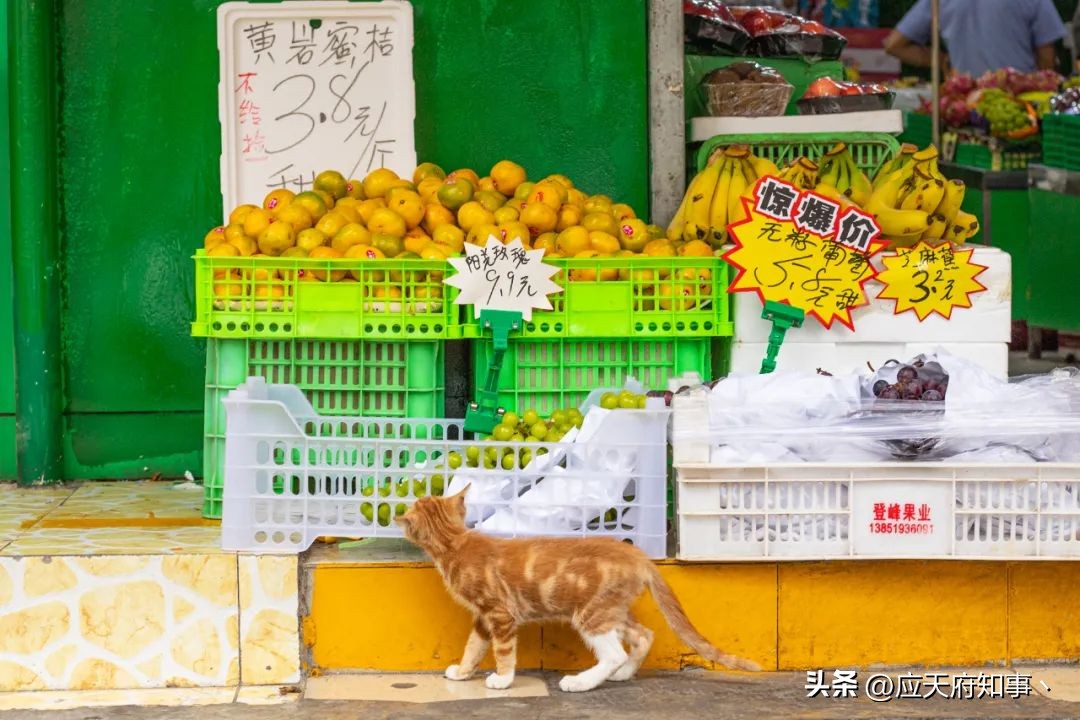 南京市井老巷介绍,南京八宝前街地址
