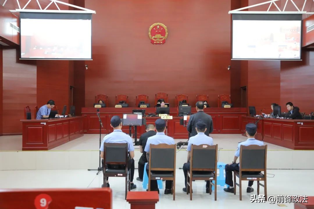 相约世界环境日,世界环境日一起守护生态