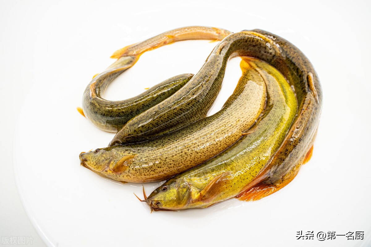 男人应该多吃什么菜能养生,男人每天吃点什么菜最好