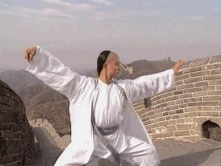 太极宗师杨昱乾搅水缸片段,太极宗师1997电视剧