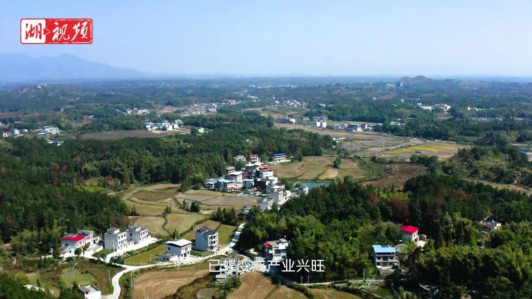 通城石南镇虎岩村,通城县虎岩镇