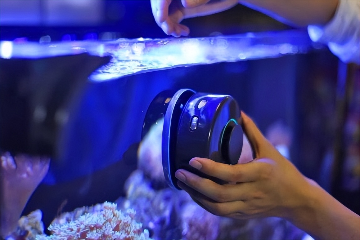 鱼缸怎么清洗消毒效果好,鱼缸清洗小妙招视频