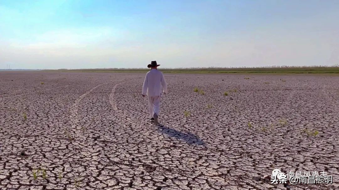 夏夜在田间捉黄鳝视频,夏夜水沟抓黄鳝
