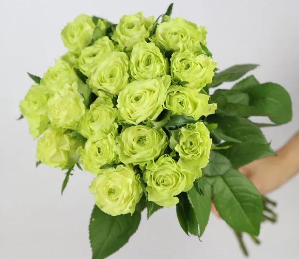 求婚送什么颜色的玫瑰花比较合适,玫瑰花的外形特点和颜色的特点