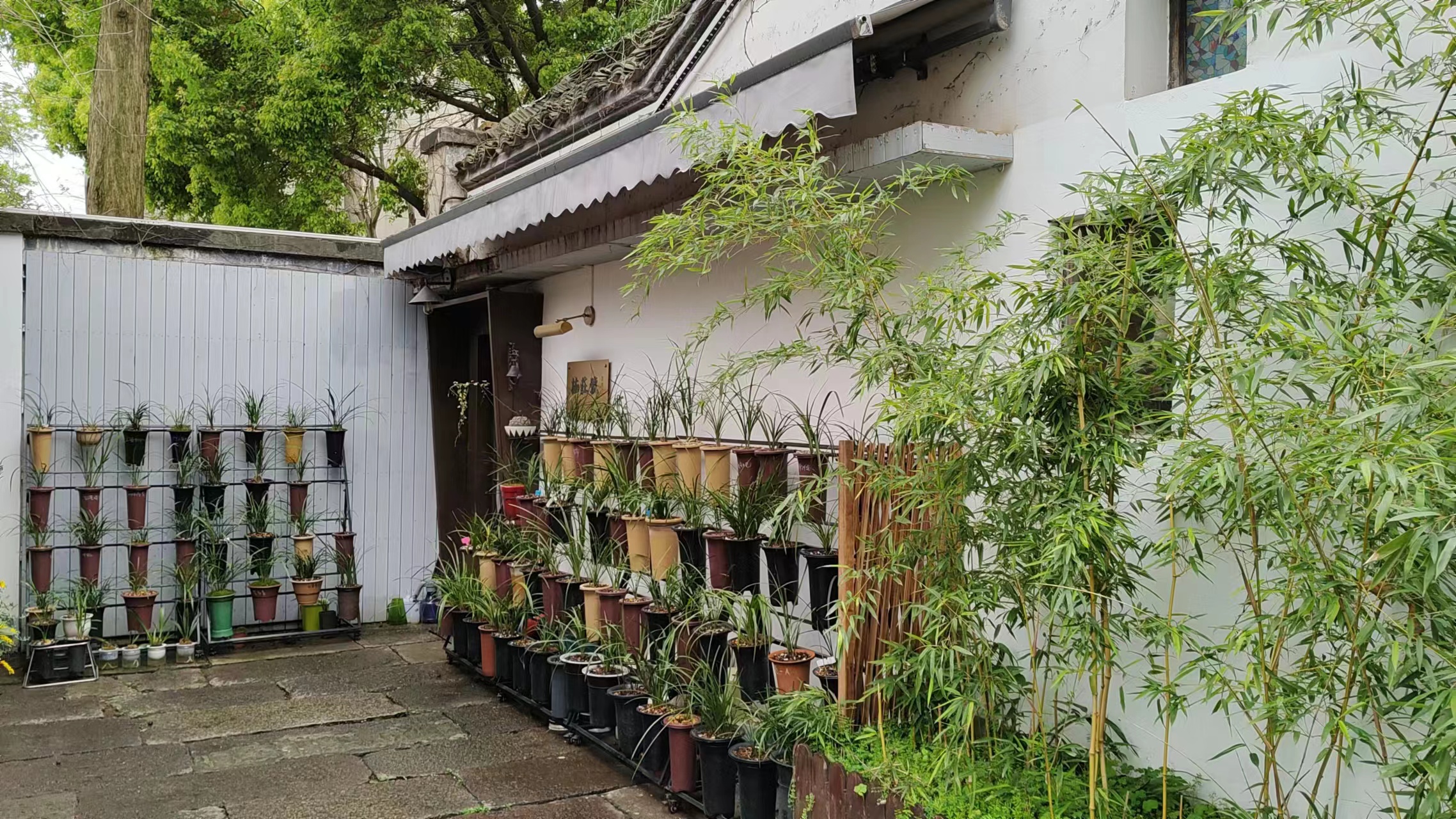 vivoiqooz6有没有广角镜头,vivoiqooz6拍照功能怎样