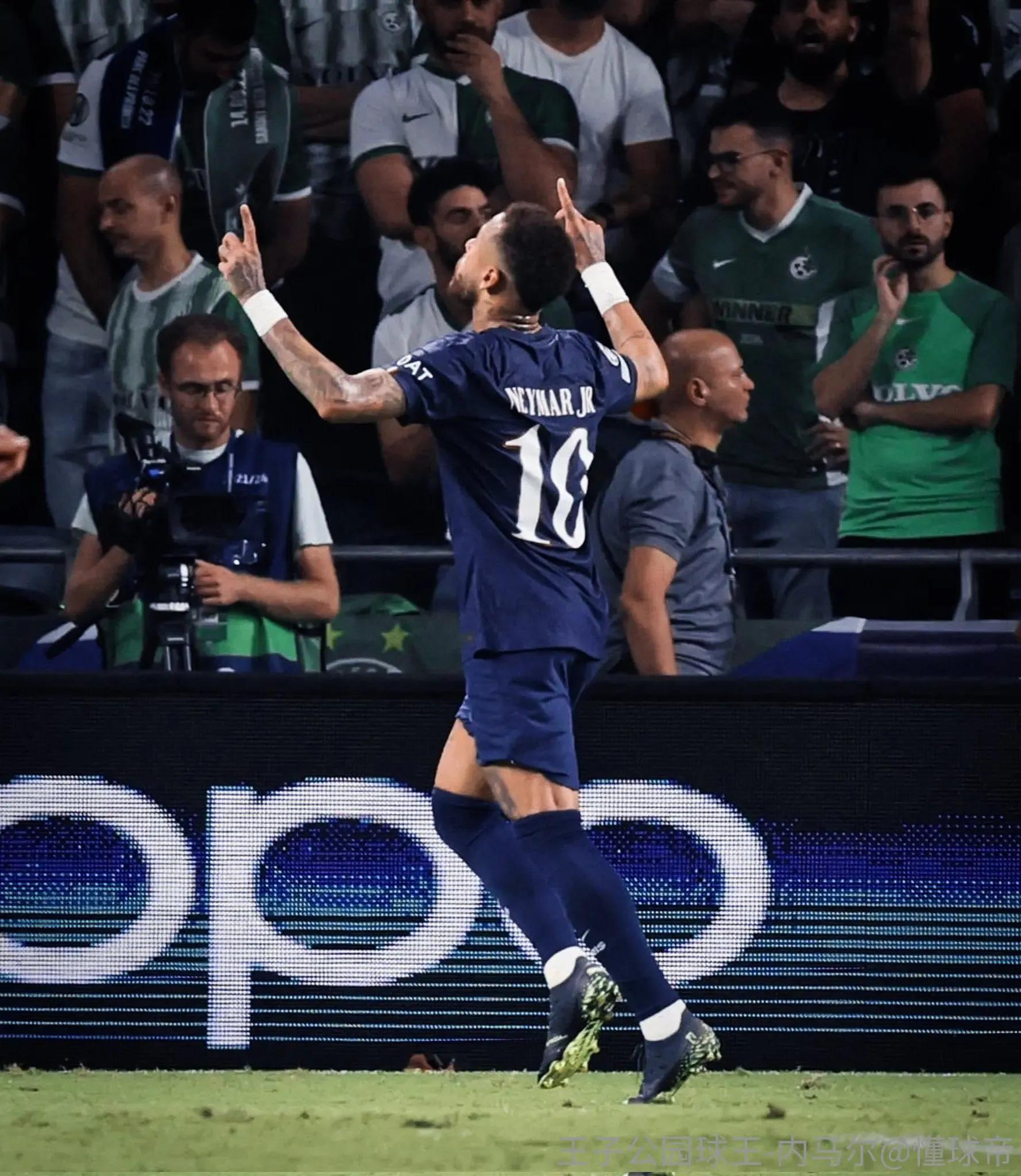 马儿为什么很温顺,马儿为什么总被针对