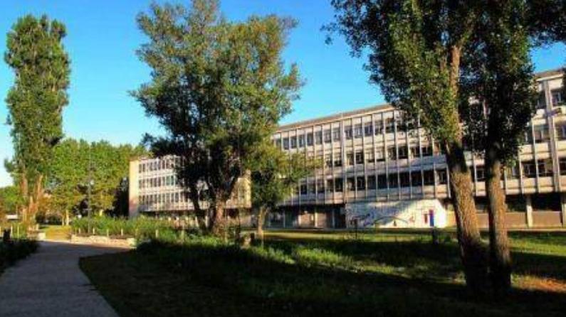 “拜金女”郑墨沫的“毁灭史”，她的诸多恶行，比你想得更加卑劣