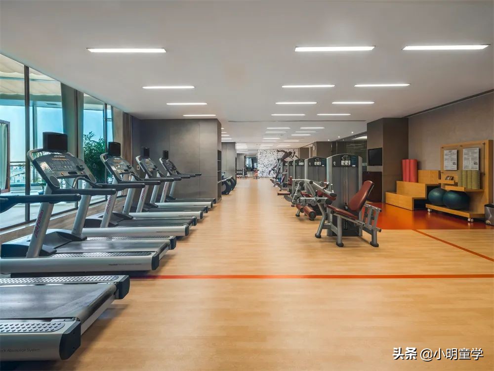 嘉定喜来登酒店,嘉定喜来登旅游攻略