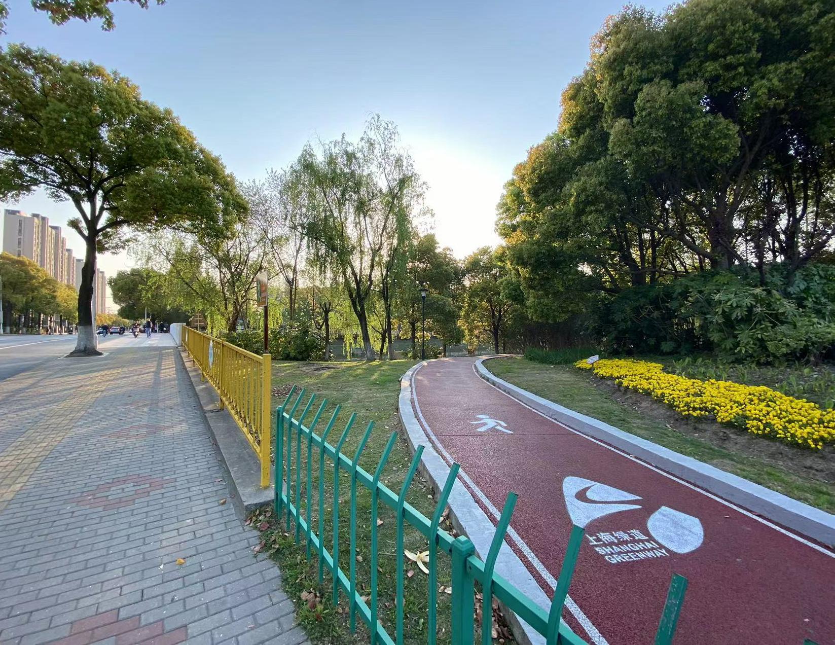 嘉定校园足球场地,上海嘉定外冈健身