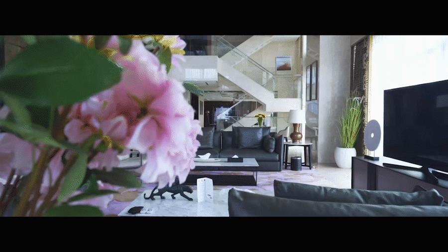 深圳福田东海国际公寓1600平,深圳福田东海国际公寓大平层