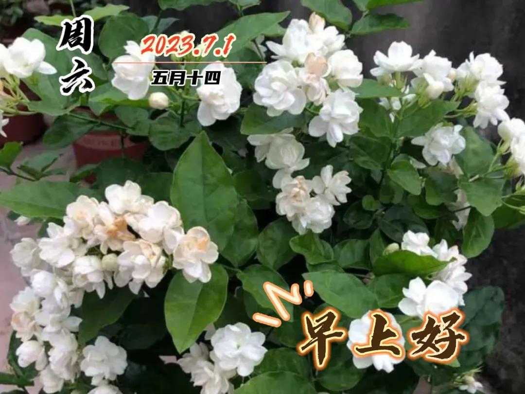 早安图片早上好问候祝福语,早上好图片带字早安问候语大全