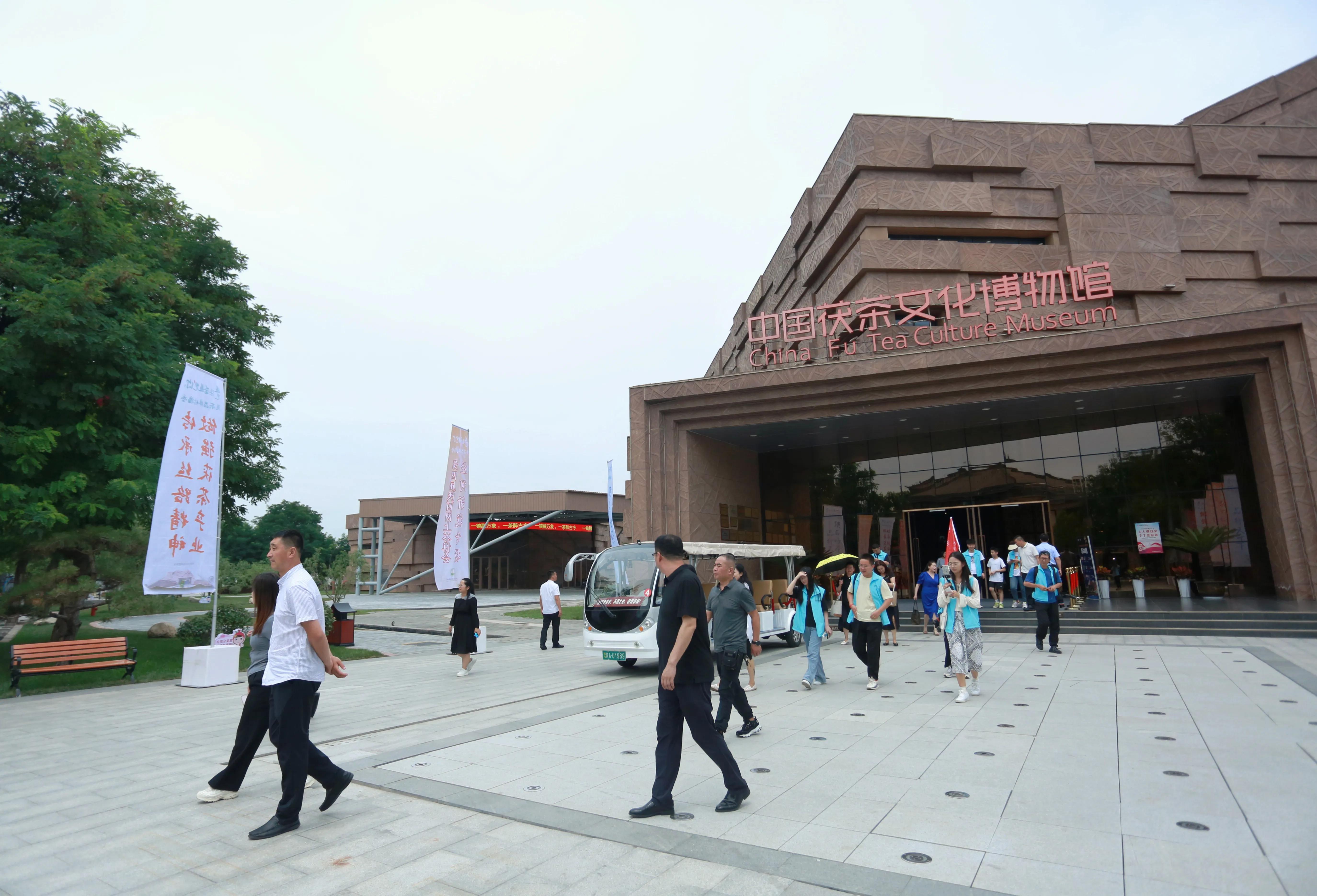 第五届中国西安国际茶产业博览会,首届陕西网上茶博会直播现场