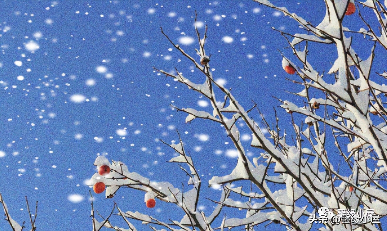 给女人科普世界杯,跟女生讨论世界杯