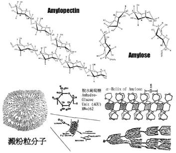 淀粉来源和糊化度对肉鸡生产性能和小肠消化的相互作用