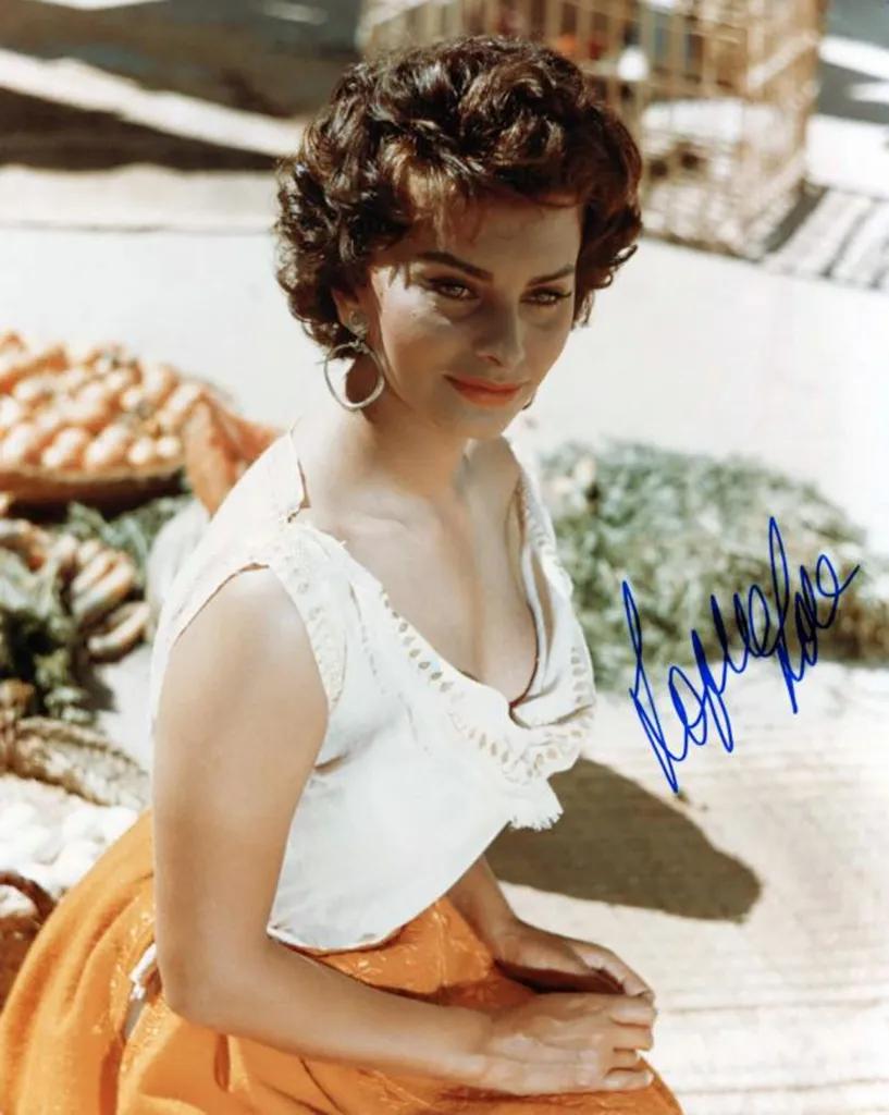 意大利著名演员索菲亚罗兰,为什么索菲亚罗兰是意大利玫瑰