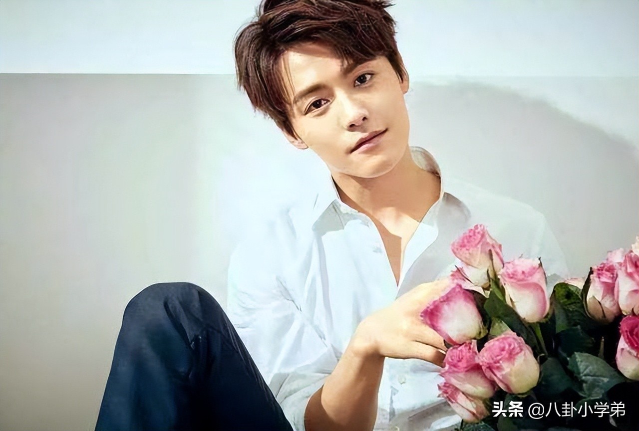 清秀脱俗的男生,清秀的男明星