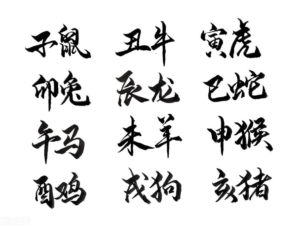 本月运势大揭秘：十二生肖哪个最旺？不可不知的财运感情、事业！