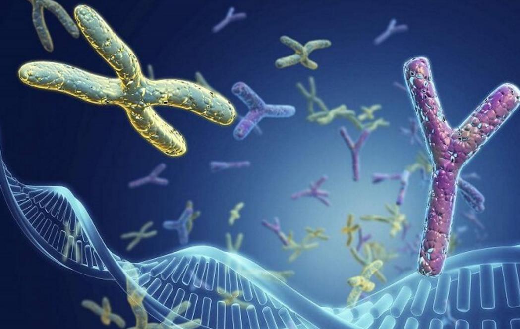 产后子宫脱垂的症状怎么办,年龄大的人子宫脱垂症状