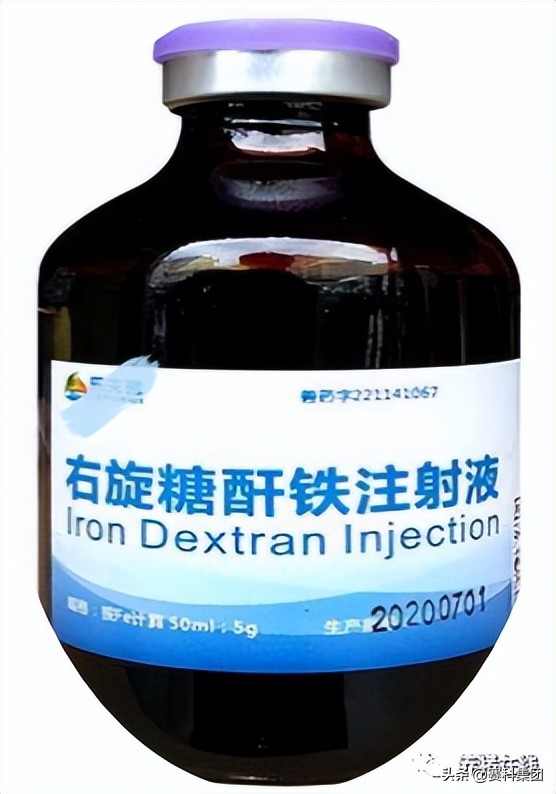 仔猪补铁用途,仔猪补铁算不算保健