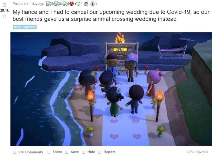 动物森友会一共有多少店铺,集合啦动物森友会价格表