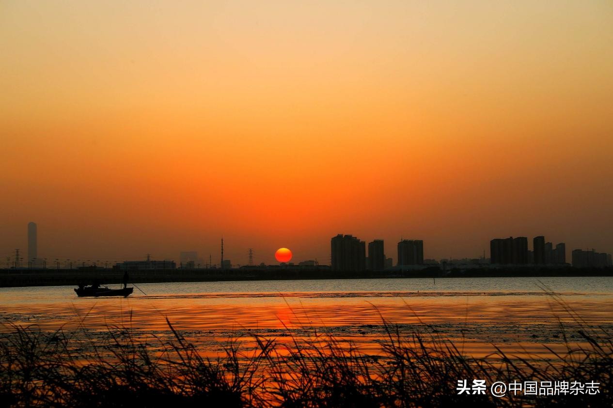 大闸蟹价格下降一半,大闸蟹价格下跌吗