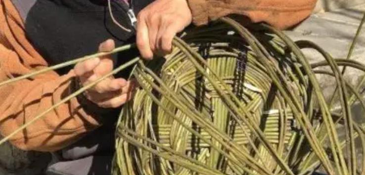 24岁小伙与85岁老人拍婚纱照,24岁小伙和85岁外婆的婚纱照