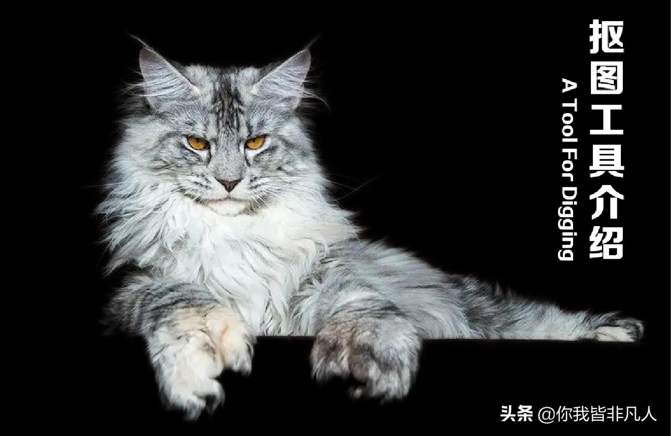 photoshop抠图步骤与方法,photoshop怎么抠图详细教程