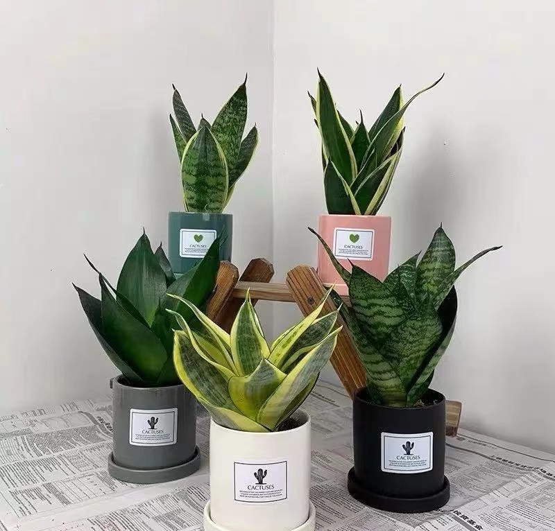 退休了可是退休工资太低了怎么办,我的退休工资怎么突然少了88元