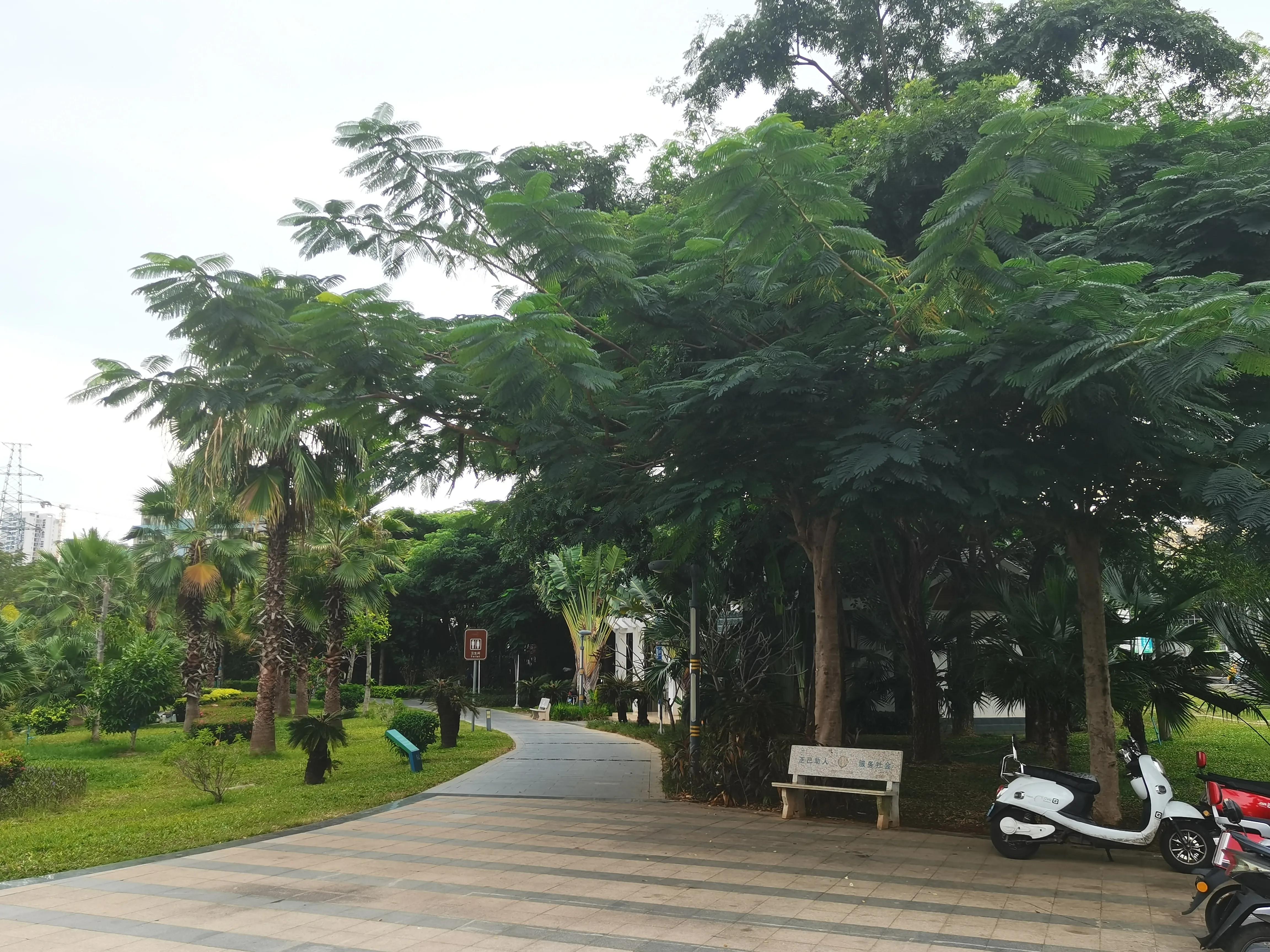 冬天海南风景视频,冬季的海南