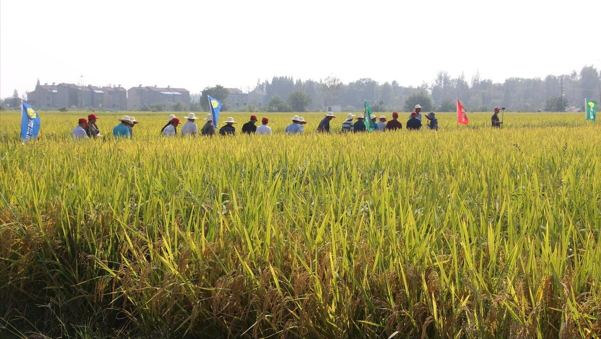 2021年家庭农场合作社补贴标准,农业企业可以获得的补贴