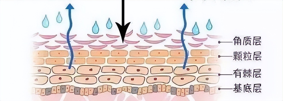 温和清洁面膜推荐去黑头收缩毛孔,深层清洁面膜推荐去黑头收缩毛孔