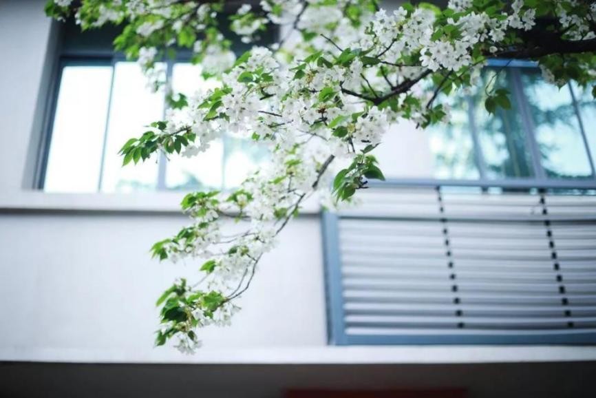 四川应用型人才联合培养计划院校,四川2023高校联合培养计划